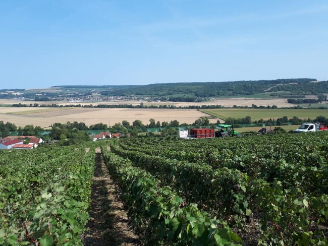 Champagne PAILLETTE -  Champagne PAILLETTE -