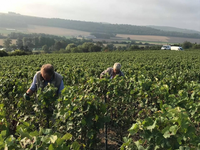 Champagne PAILLETTE -  Champagne PAILLETTE -